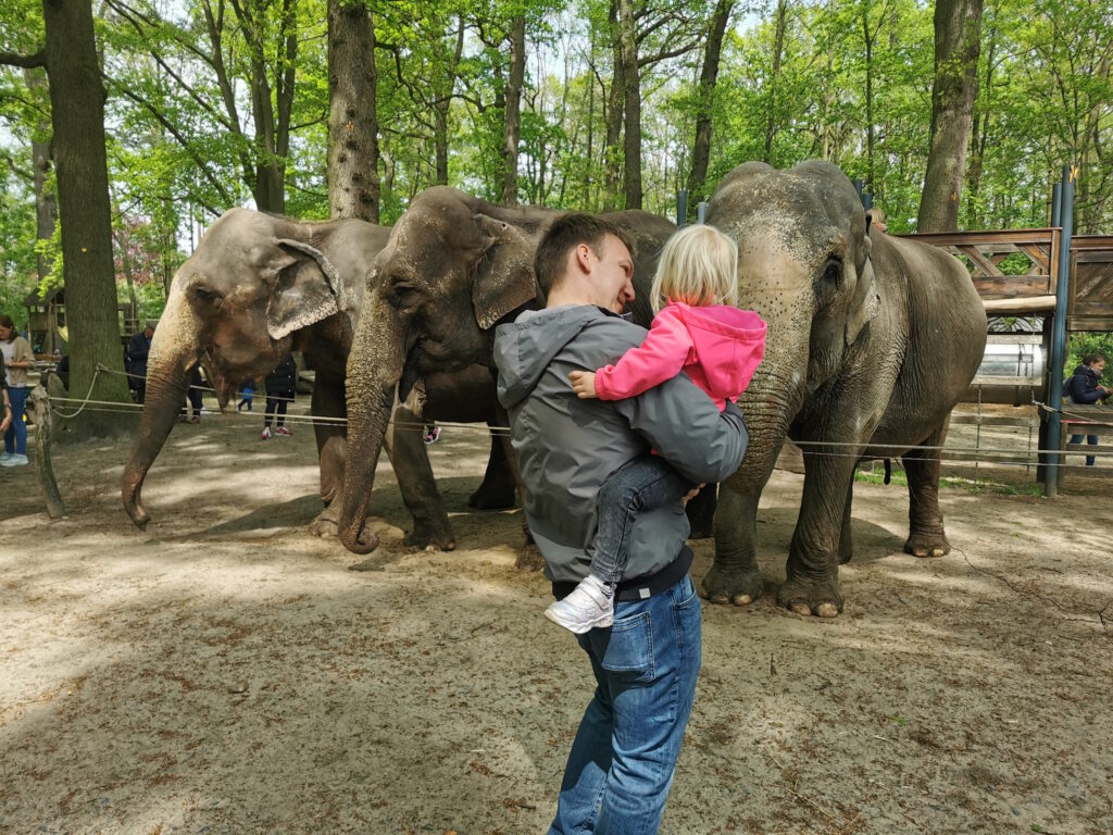 Tiere und Besucher im Tierpark Ströhen in Niedersachsen