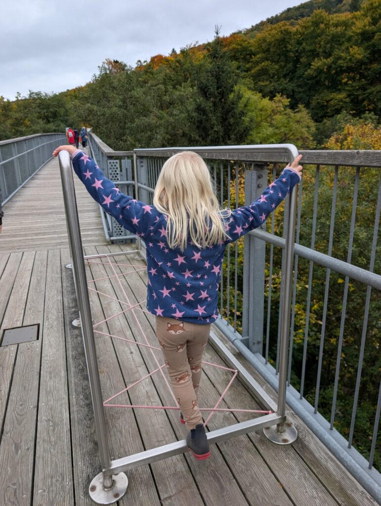 Baumwipfelpfad Harz mit Kindern Aussicht von oben