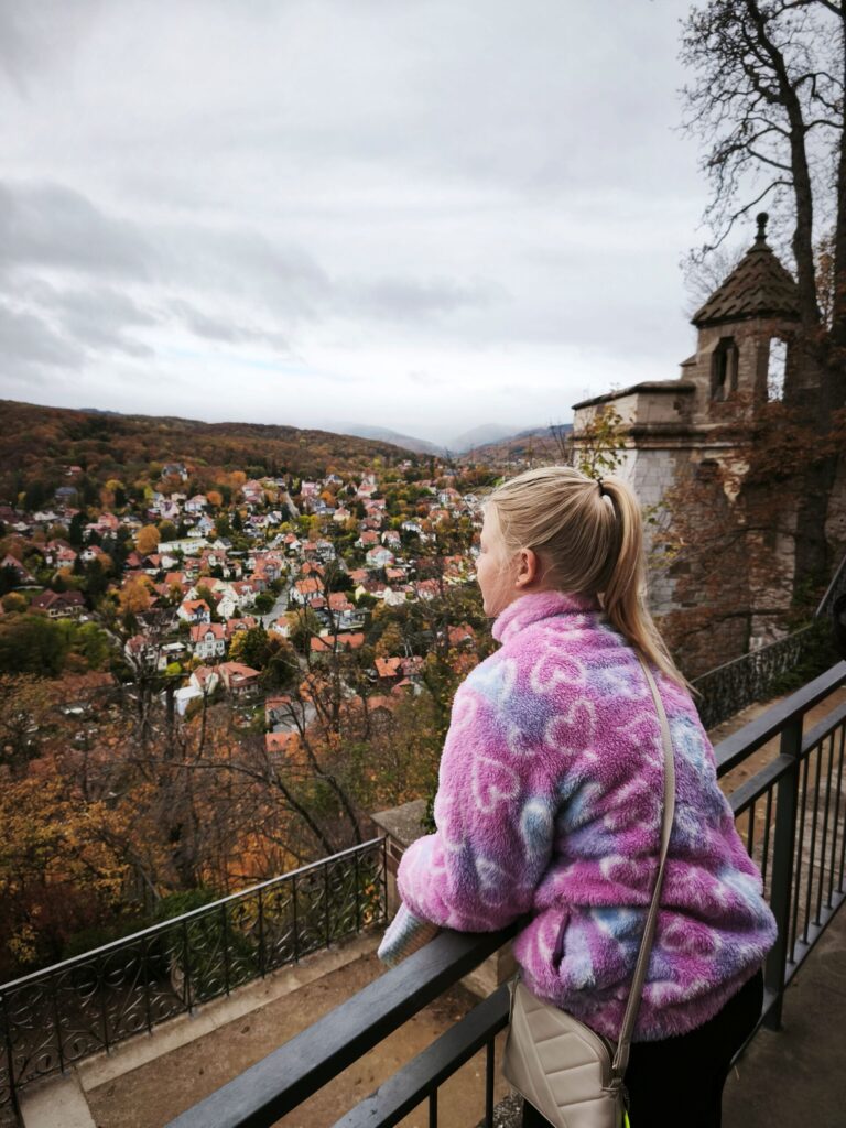 Ausblick vom Schloss Werningerode