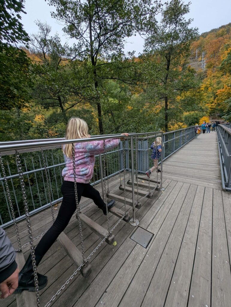 Baumwipfelpfad Harz mit Kindern 