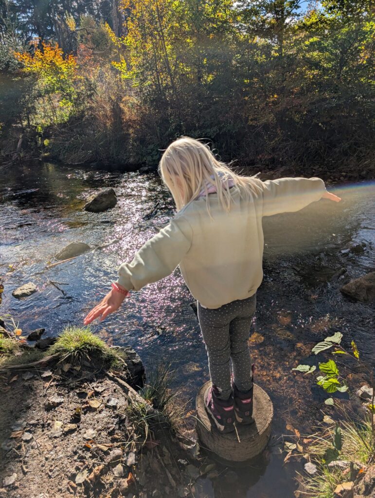 Wandern mit Kindern im Harz im Herbst