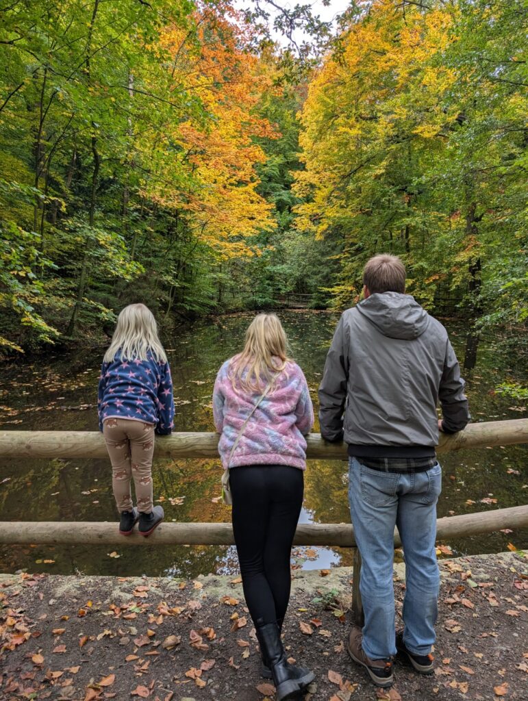 Baumwipfelpfad Harz mit Kindern Aussicht Herbst