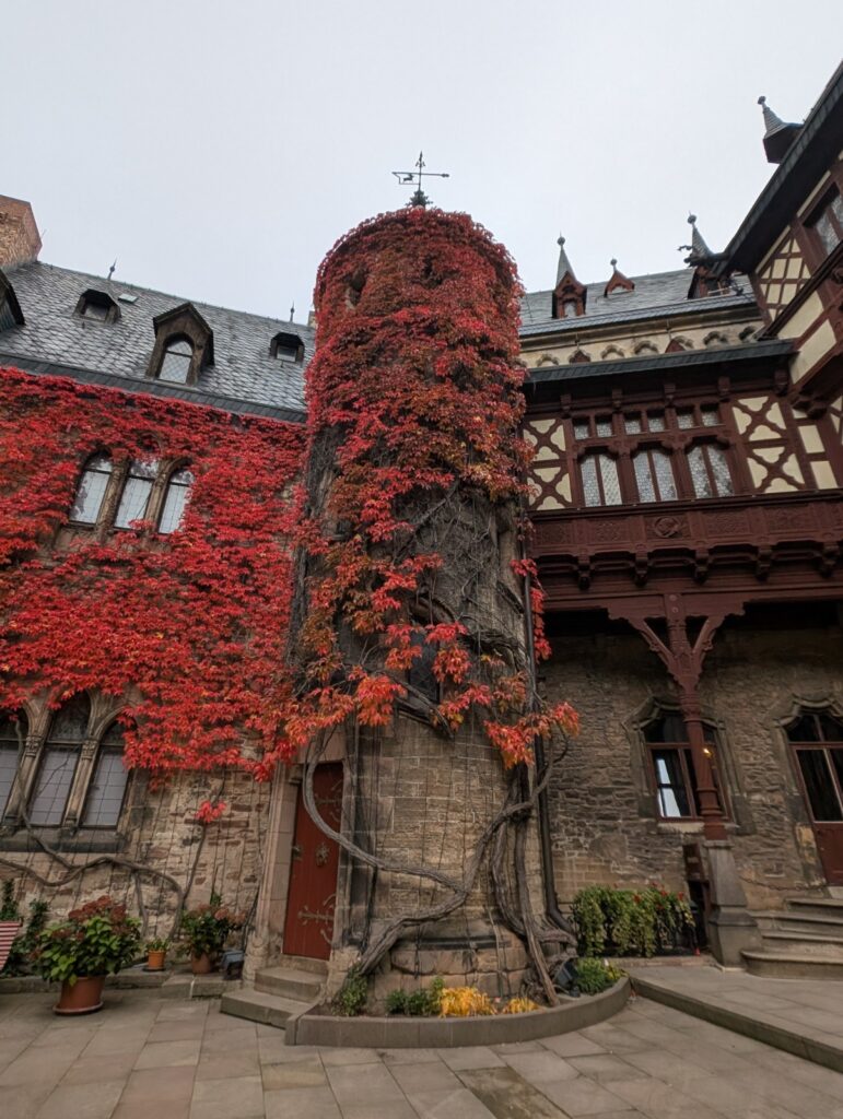 Schloss Wernigerode Kinder Führung Schule der magischen Tiere